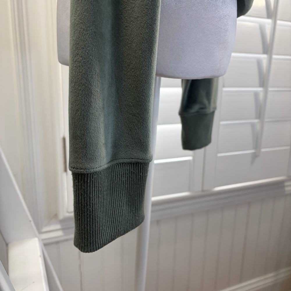 Aerie Dreamy Velour Cropped Hoodie in Royal Palm - Picture 8 of 16